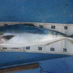 釣り船武蔵 釣果