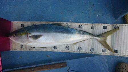 釣り船武蔵 釣果