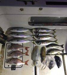 さぶろう丸 釣果