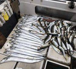 さぶろう丸 釣果
