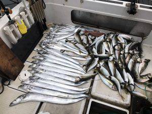 さぶろう丸 釣果