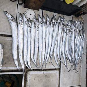 さぶろう丸 釣果