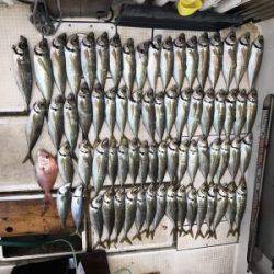 さぶろう丸 釣果