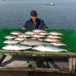 由良海上釣り堀 海人 釣果
