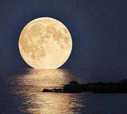 フィッシングボートACE（エース） 釣果