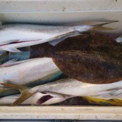 釣り船武蔵 釣果