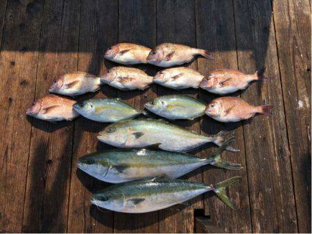 由良海上釣り堀 海人 釣果