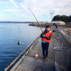 のとじま臨海公園海づりセンター 釣果
