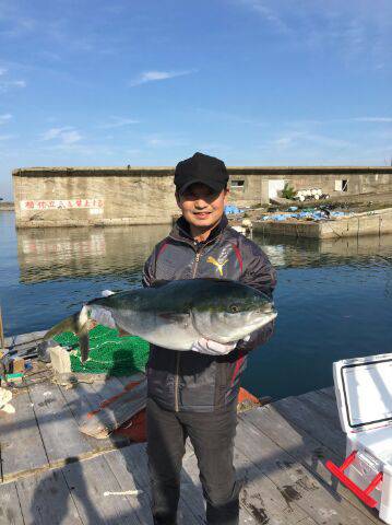 由良海上釣り堀 海人 釣果