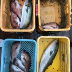 由良海上釣り堀 海人 釣果