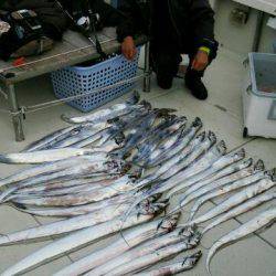 釣り船くわだ 釣果