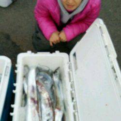 釣り船くわだ 釣果