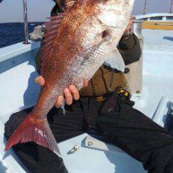 東京湾探釣隊ぼっち 釣果