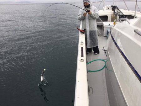 Fisherman Dreams DI 釣果