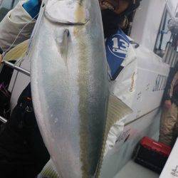 スカイマリン 釣果