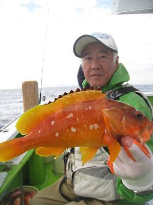 松栄丸 釣果