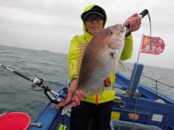 鯛紅丸 釣果