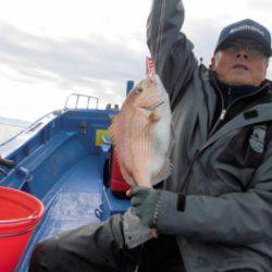 鯛紅丸 釣果