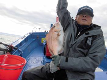 鯛紅丸 釣果