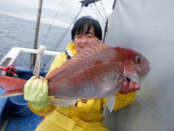 鯛紅丸 釣果
