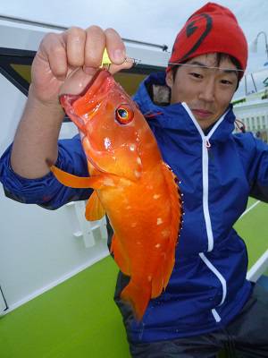 松栄丸 釣果