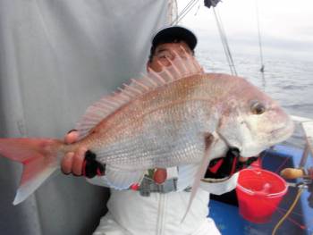 鯛紅丸 釣果