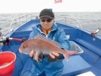 鯛紅丸 釣果