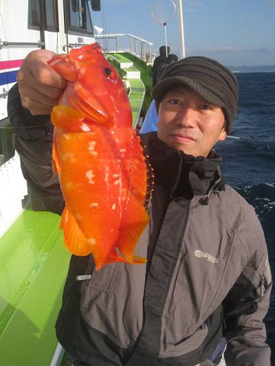 松栄丸 釣果
