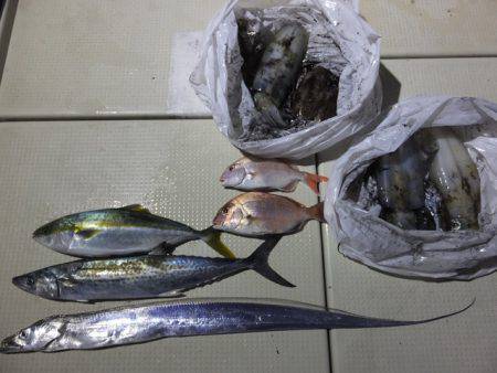 Hit Rush(ヒット ラッシュ） 釣果…