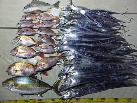 Hit Rush(ヒット ラッシュ） 釣果…