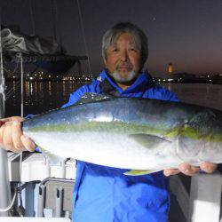 Hit Rush(ヒット ラッシュ) 釣果