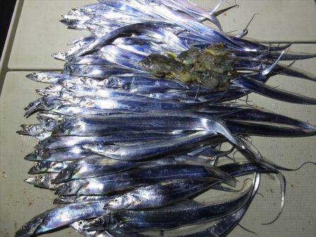 Hit Rush(ヒット ラッシュ） 釣果…