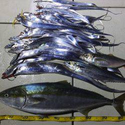 Hit Rush(ヒット ラッシュ) 釣果