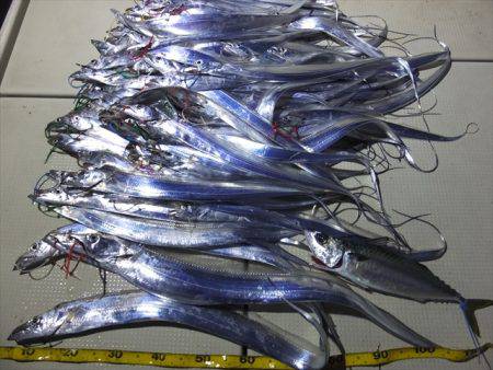 Hit Rush(ヒット ラッシュ) 釣果