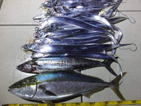 Hit Rush(ヒット ラッシュ） 釣果…