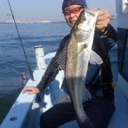 東京湾探釣隊ぼっち 釣果