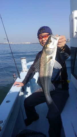 東京湾探釣隊ぼっち 釣果