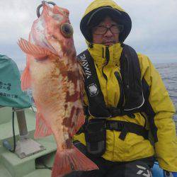 気仙沼 つり丸 釣果