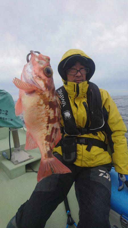 気仙沼　つり丸 釣果