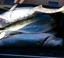 IDATEN(イダテン) 釣果