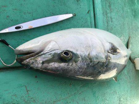広進丸 釣果