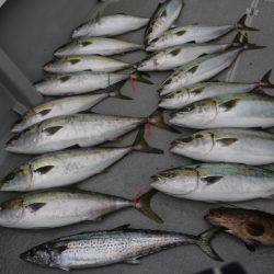 へいみつ丸 釣果