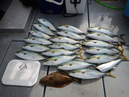 sea boss　シーボス 釣果