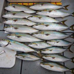 sea boss シーボス 釣果