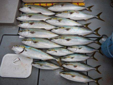 sea boss シーボス 釣果