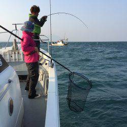 sea boss シーボス 釣果