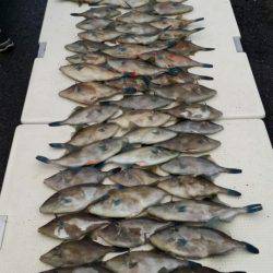 オーフリー 釣果