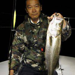 フルコンタクト 釣果