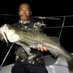 フルコンタクト 釣果