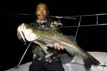 フルコンタクト 釣果